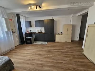 Apartament 2 camere pe 2 nivele FAGET - foto 3
