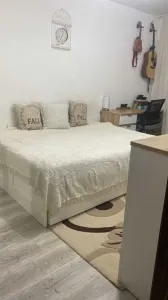 Apartament 2 camere decomandat etaj intermediar zona Garii - foto 6