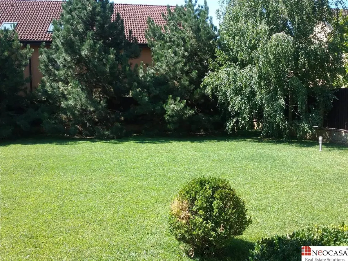 IANCU NICOLAE, S+P+1, 6 CAMERE, 410 MP, PISCINA, CURTE SUPERBA! - foto 1