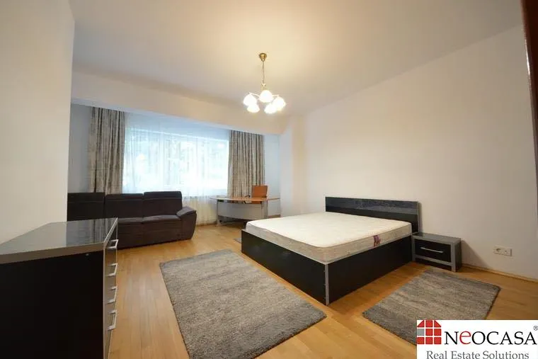 FOARTE SPATIOS, 182 MP, MOBILAT, LA DOI PASI DE PARCUL HERASTRAU! - foto 6