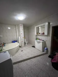 Imobil doua corpuri P+2+pod si P+1 | zona Splaiul Unirii | - foto 23