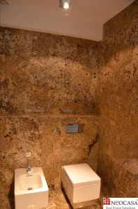 PROPRIETATE REMARCABILA - ELEGANTA, SPATIU, ARHITECTURA, NUMEROASE FACILITATI - foto 24