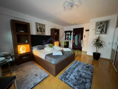 Garsoniera renovata, bloc nou Drumul Poienii - foto 1