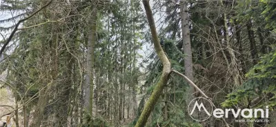Etaj vilă istorică de vânzare în Sinaia – Zona Furnica - foto 8