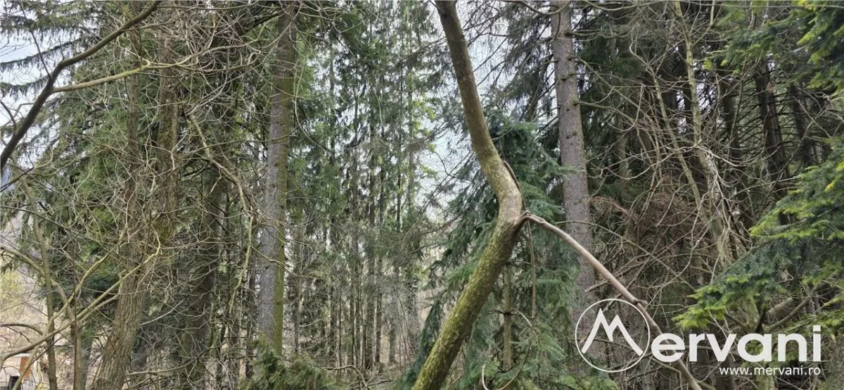 Etaj vilă istorică de vânzare în Sinaia – Zona Furnica - foto 8
