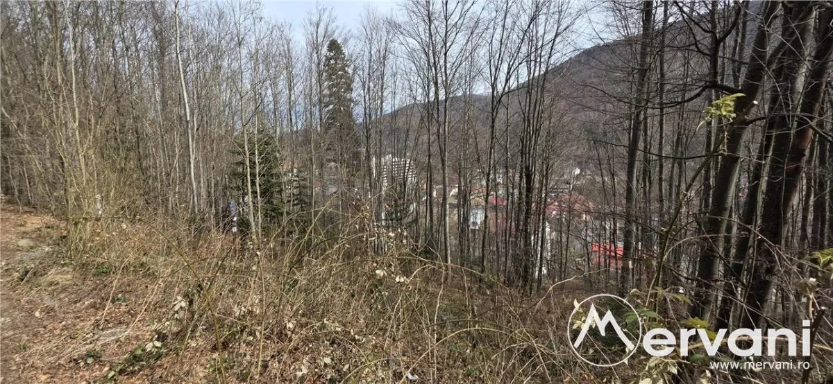 Tere intravilan de vanzare in Sinaia - foto 3