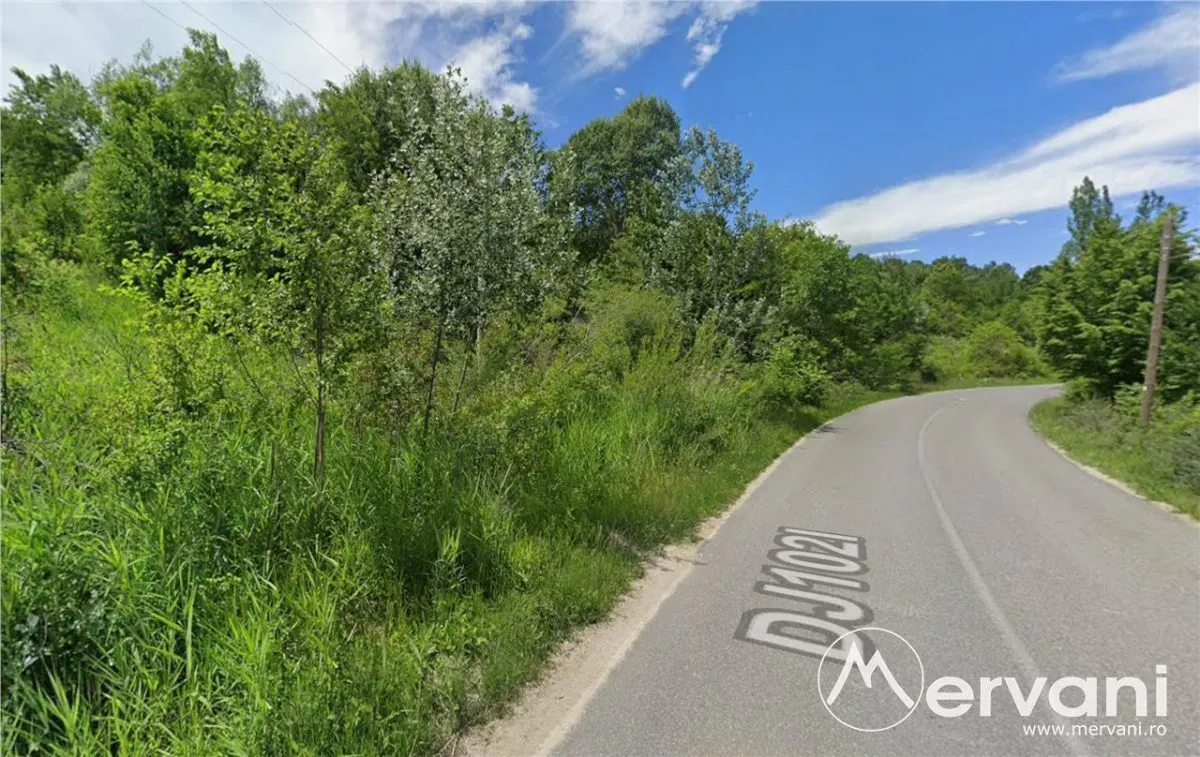 Teren intravilan de vanzare in Lunca Mare (la 10 km de Valea Doftanei) - foto 1