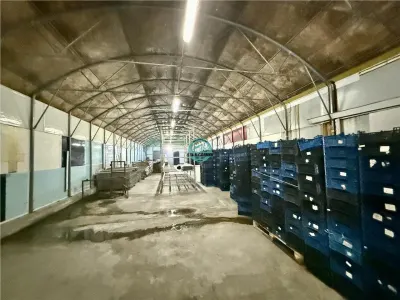 Hale de inchiriat, teren 5500 mp, acces TIR, in Iernut, zona Centru Logistic Lidl - foto 3