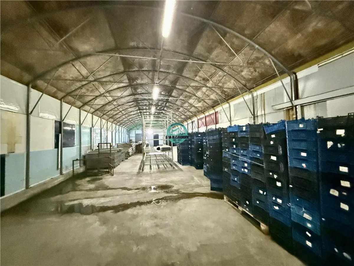 Hale de inchiriat, teren 5500 mp, acces TIR, in Iernut, zona Centru Logistic Lidl - foto 3
