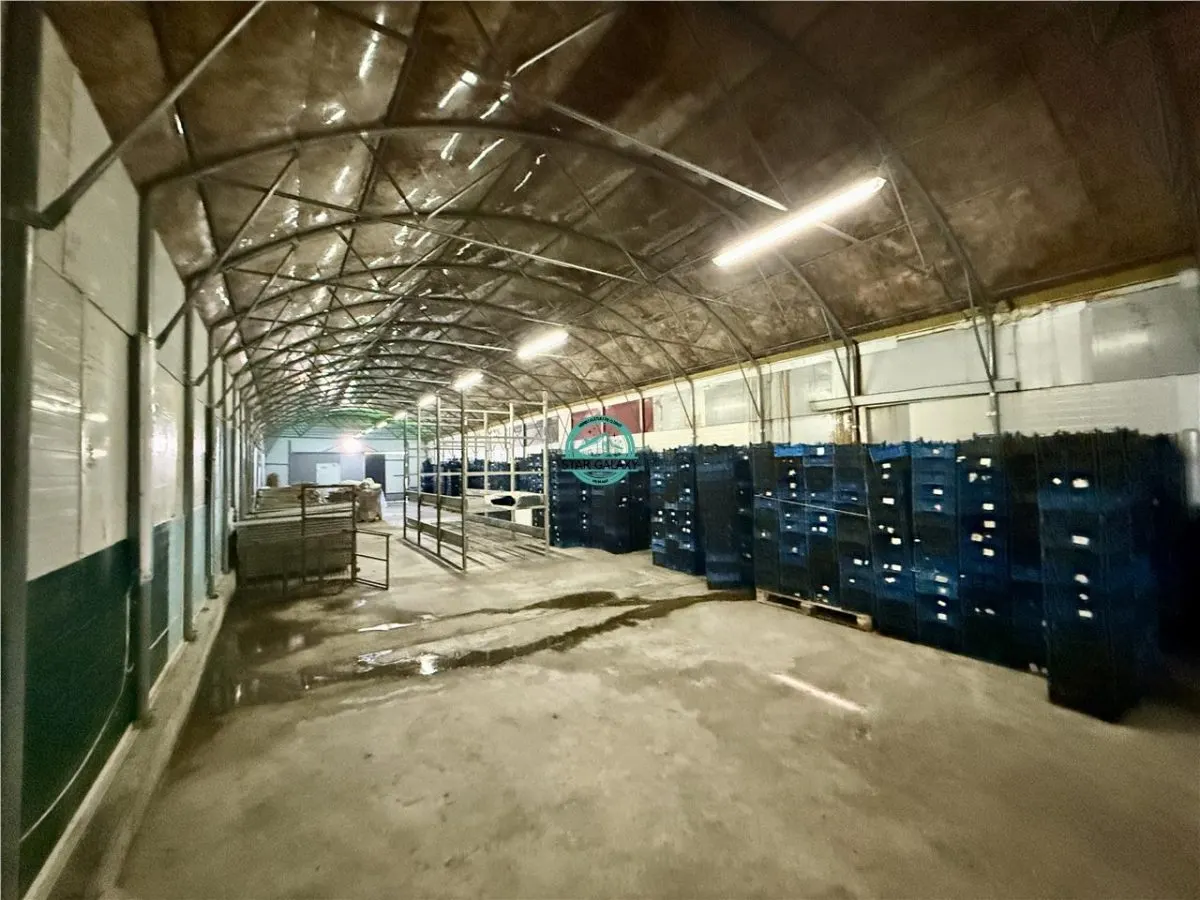 Hale de inchiriat, teren 5500 mp, acces TIR, in Iernut, zona Centru Logistic Lidl - foto 4
