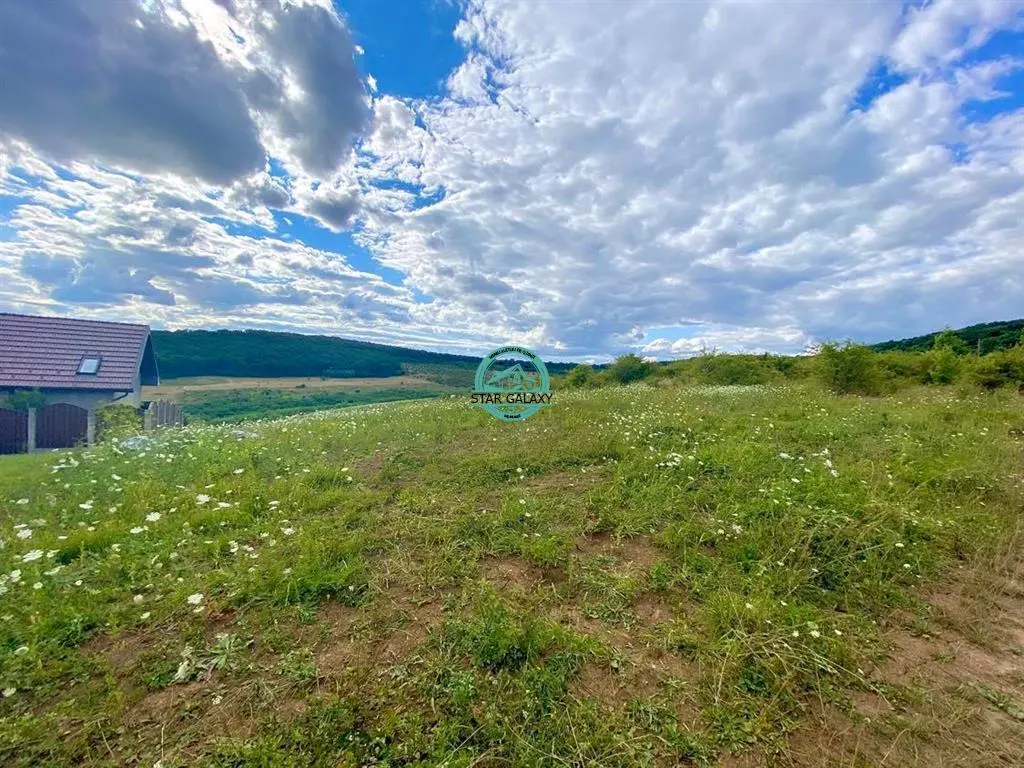 Vand teren intravilan cu suprafata 3300 mp in Livezeni - foto 1