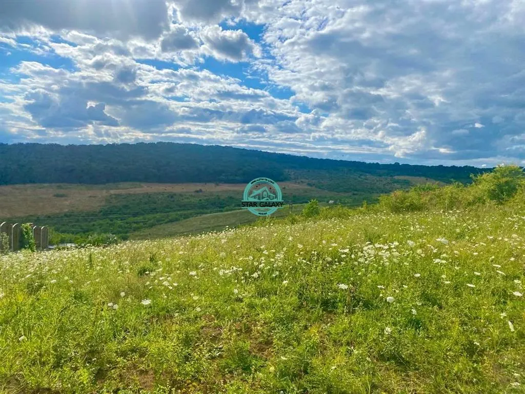 Vand teren intravilan cu suprafata 3300 mp in Livezeni - foto 2