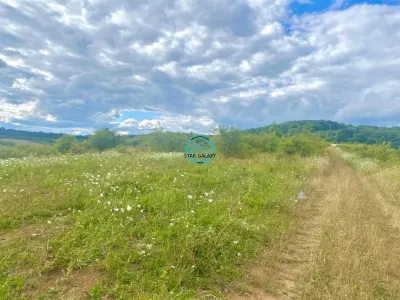 Vand teren intravilan cu suprafata 3300 mp in Livezeni - foto 3