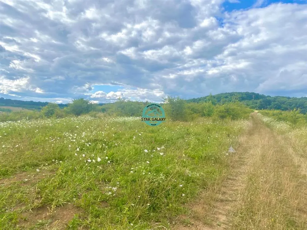 Vand teren intravilan cu suprafata 3300 mp in Livezeni - foto 3