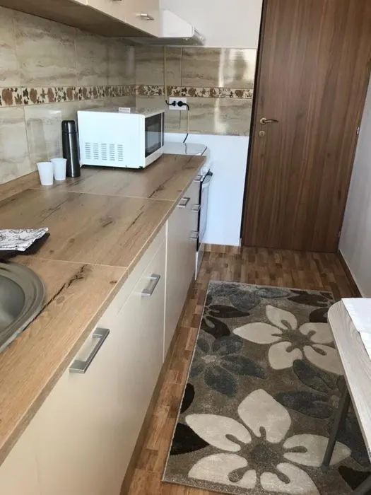 Apartament 1 Cameră cu Balcon inchis- Vis a Vis Anaf Nicolina - foto 4