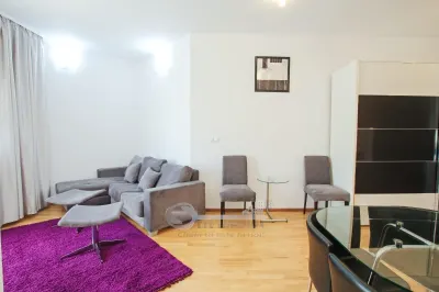 Apartament 2 camere Copou â€“ Bellevue, 56 mp, Mobilat si utilat - foto 4