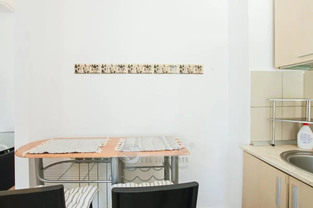 Apartament 2 camere Copou â€“ Bellevue, 56 mp, Mobilat si utilat - foto 6