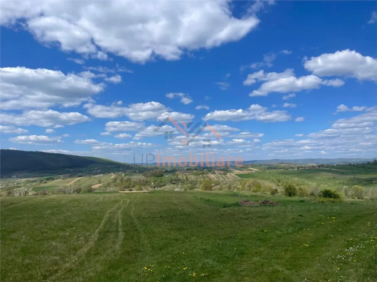 TEREN | BALNACA | 6301MP | BIHOR - foto 2