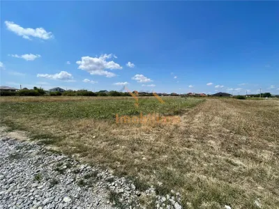 TEREN | 1391MP | SANMARTIN | BIHOR - Sanmartin