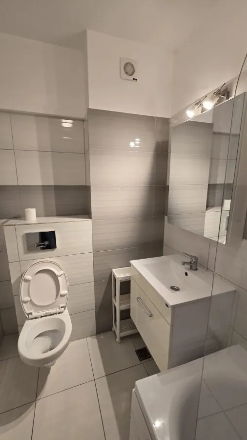 Apartament 2 camere Bucium - 350 euro - foto 8