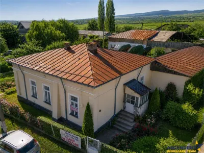 FILM! Domeniu de 4.000 mp intravilan+ casa autentica, in podgoriile Odobesti,Vrancea - foto 3