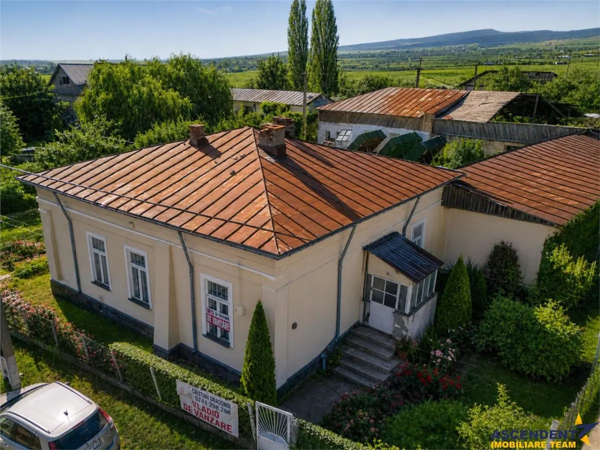 FILM! Domeniu de 4.000 mp intravilan+ casa autentica, in podgoriile Odobesti,Vrancea - foto 3