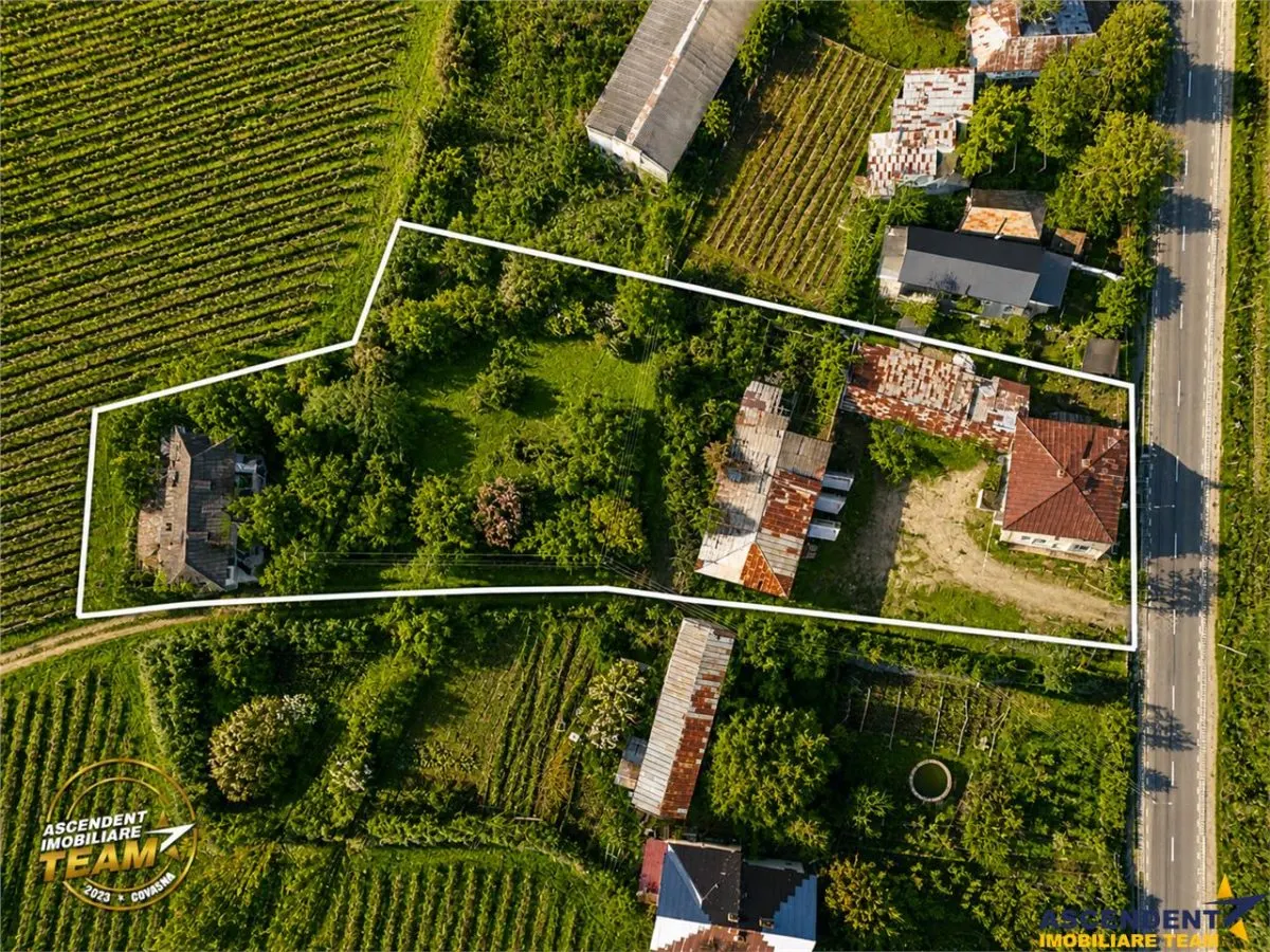 FILM! Domeniu de 4.000 mp intravilan+ casa autentica, in podgoriile Odobesti,Vrancea - foto 4