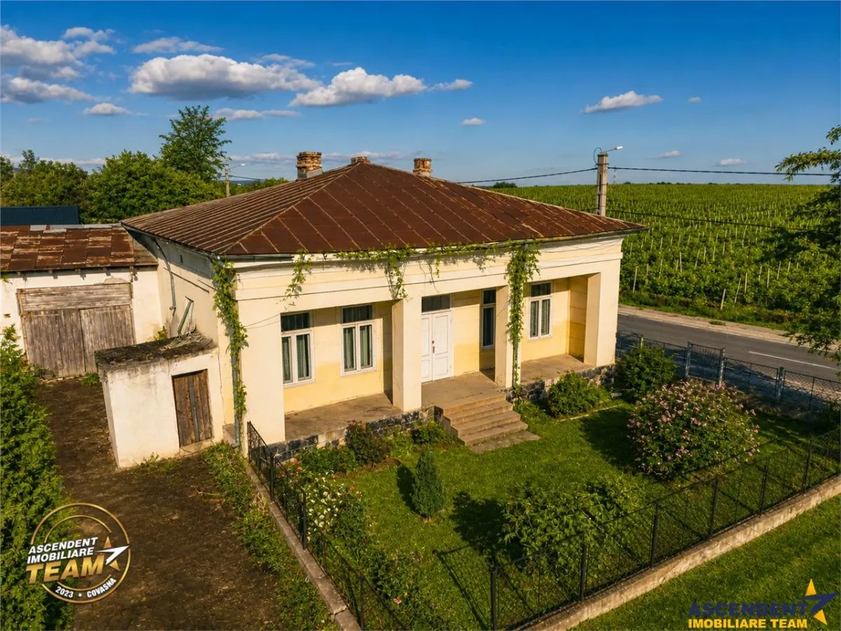 FILM! Domeniu de 4.000 mp intravilan+ casa autentica, in podgoriile Odobesti,Vrancea - foto 5