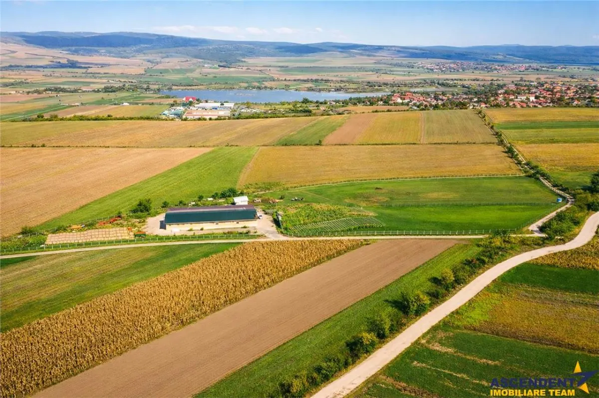 FILM! 18.000 mp, extravilan, agricol+ constructii:ferma,investitii agricole, Rotbav, Brasov - foto 1