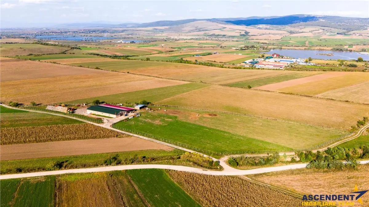 FILM! 18.000 mp, extravilan, agricol+ constructii:ferma,investitii agricole, Rotbav, Brasov - foto 4