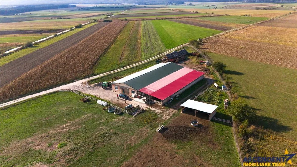 FILM! 18.000 mp, extravilan, agricol+ constructii:ferma,investitii agricole, Rotbav, Brasov - foto 6