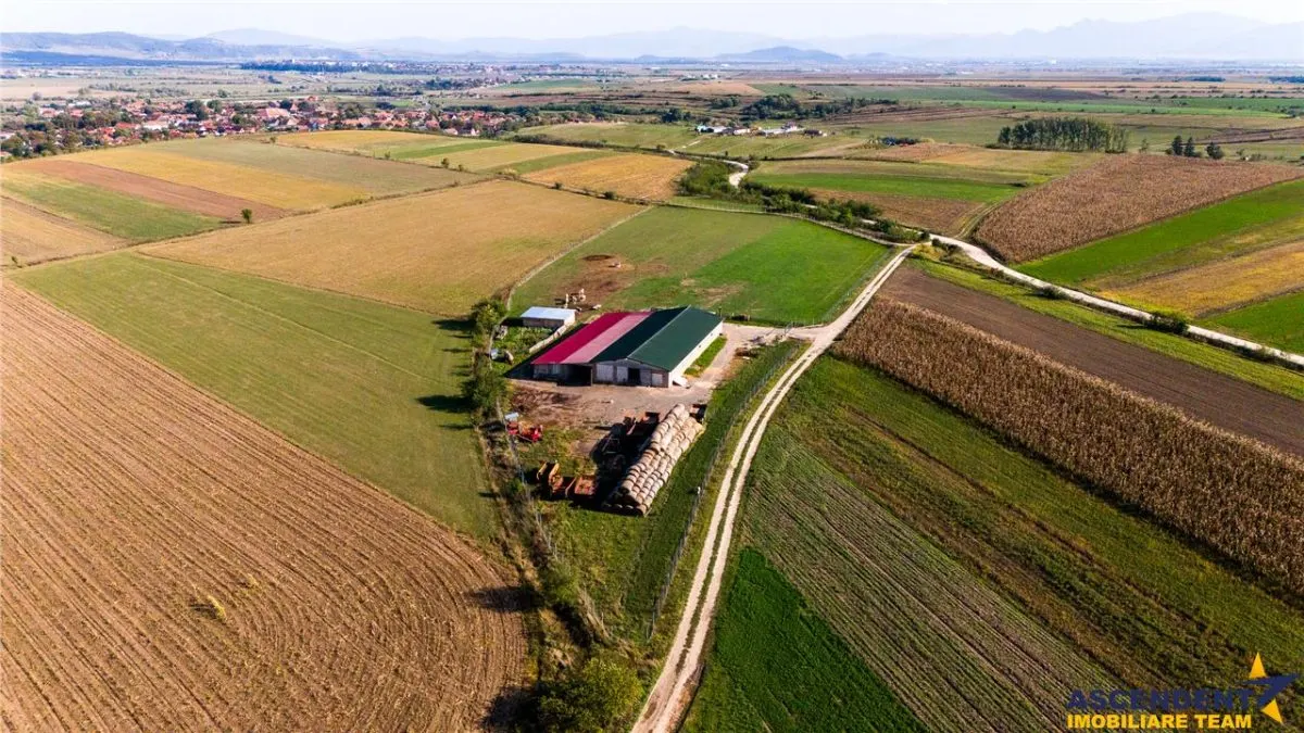 FILM! 18.000 mp, extravilan, agricol+ constructii:ferma,investitii agricole, Rotbav, Brasov - foto 7