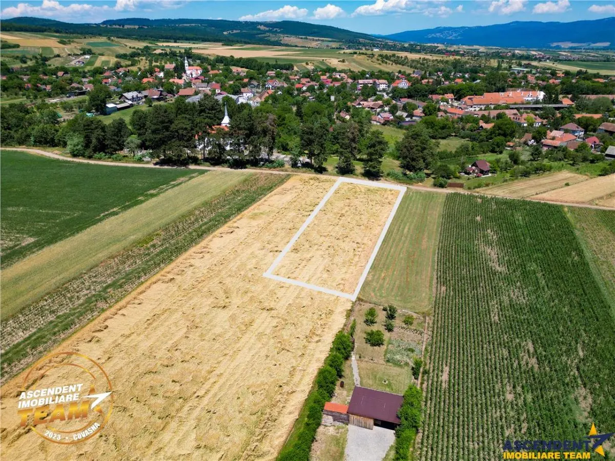FILM! Teren extravilan, Valea Crisului, Covasna - foto 3