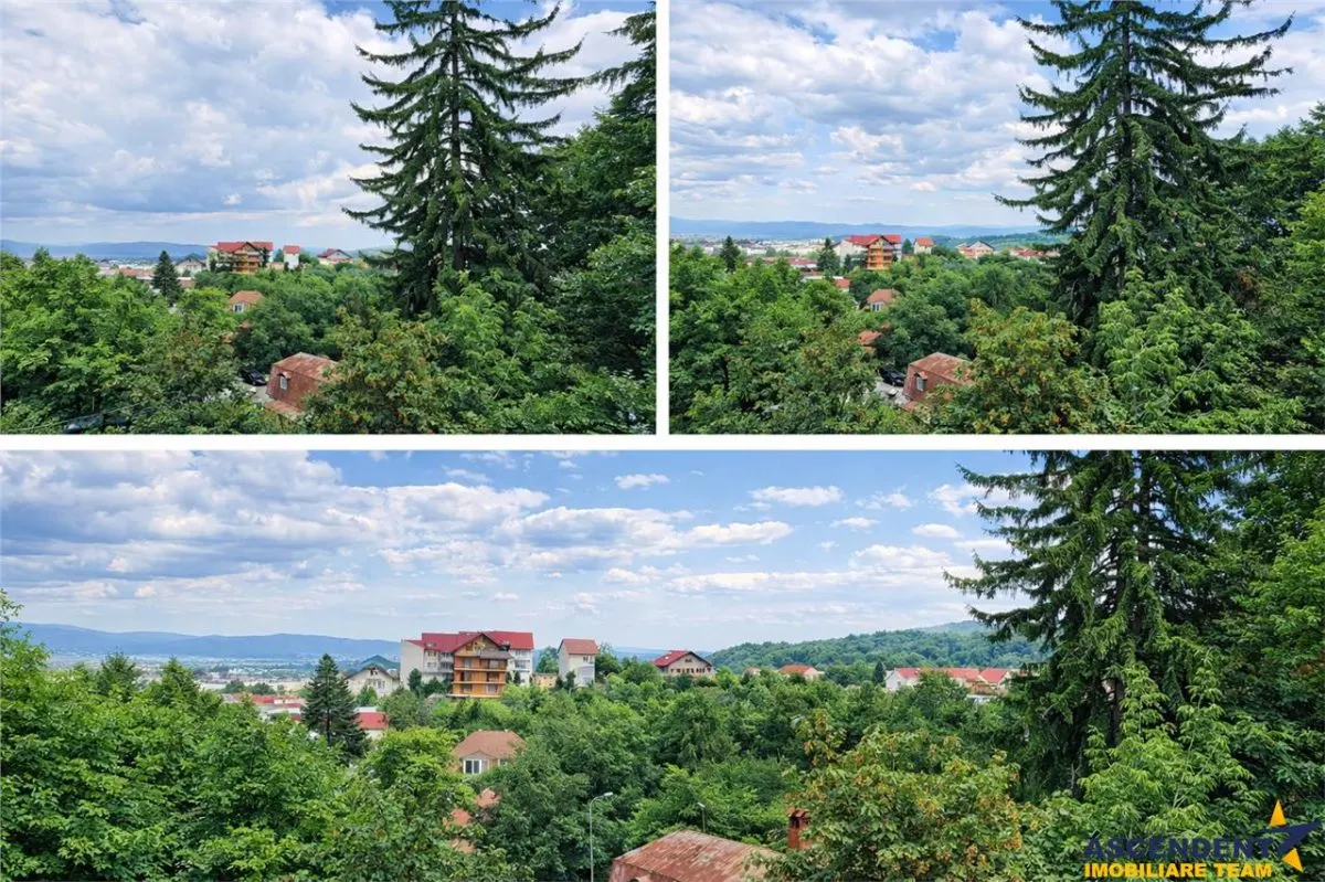 Distinsa rezidenta cu:garaje,SPA,lift privat, areal Centru. Drumul Poienii, Brasov - foto 4