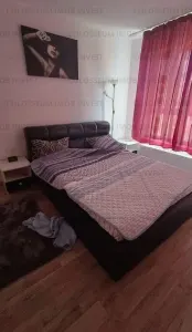 Apartament cu 2 camere, decomandat - zona Avantgarden - foto 4