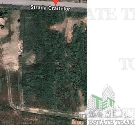 Teren intravilan 5.600 mp în Pantelimon, Constanta ideal investitie sau constructii - foto 1