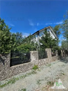 Vila superba, cu piscina, 970mp teren, D+P+E+M, gradina amenajata+pomi fructiferi cu toate utilitatile in Clinceni judet Ilfov - foto 4