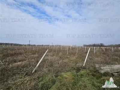 Teren intravilan Harsova - foto 4