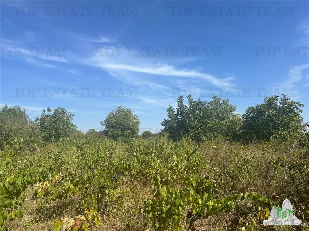 Vanzare teren intravilan construibil in Branesti, Ilfov - 2040 mp, ideal rezidenta sau investitie - foto 2