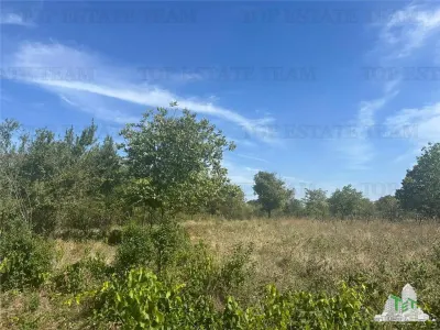 Vanzare teren intravilan construibil in Branesti, Ilfov - 2040 mp, ideal rezidenta sau investitie - foto 3