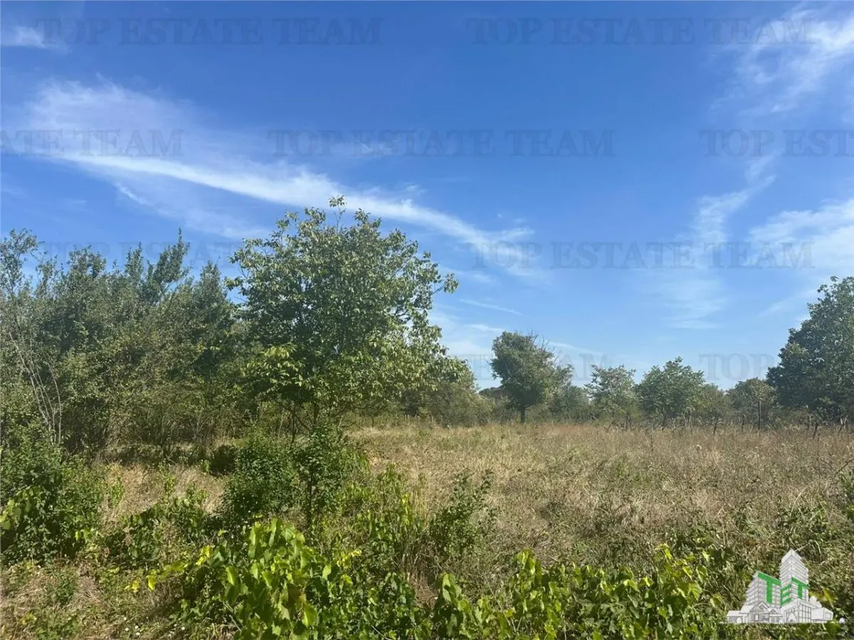 Vanzare teren intravilan construibil in Branesti, Ilfov - 2040 mp, ideal rezidenta sau investitie - foto 3