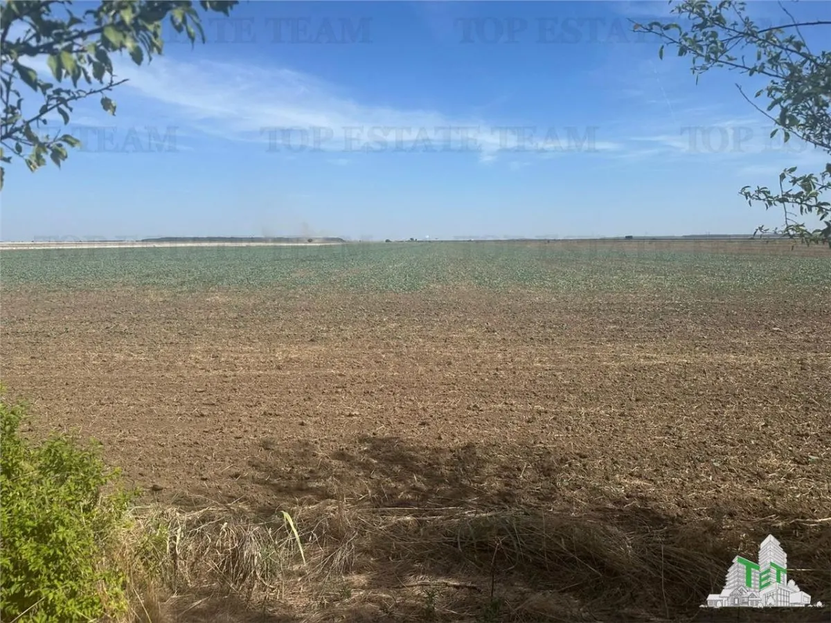 Vanzare teren intravilan construibil, Branesti-Ilfov, 5100 mp, ideal rezidenta sau investitie - foto 2