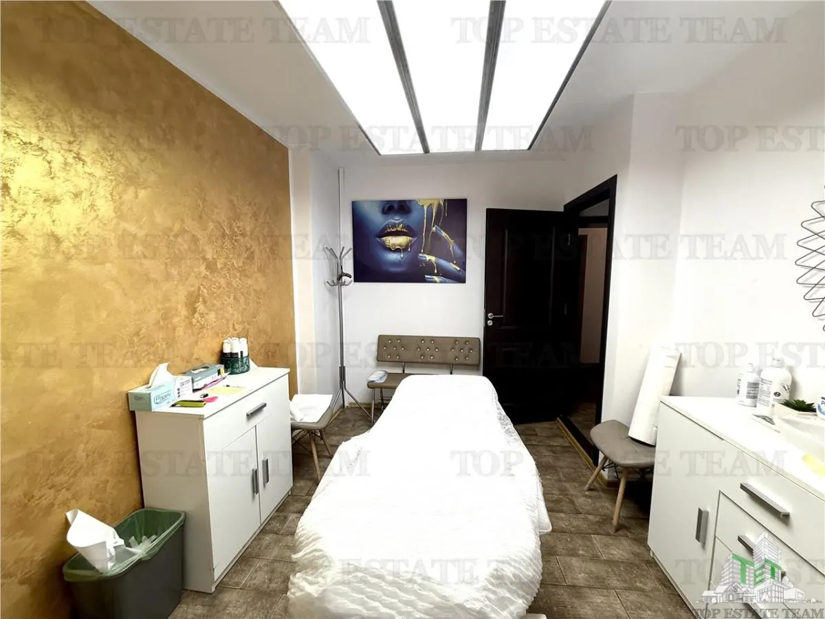 Vila de închiriat cu 7 camere ultracentral Piata Victoriei - foto 15