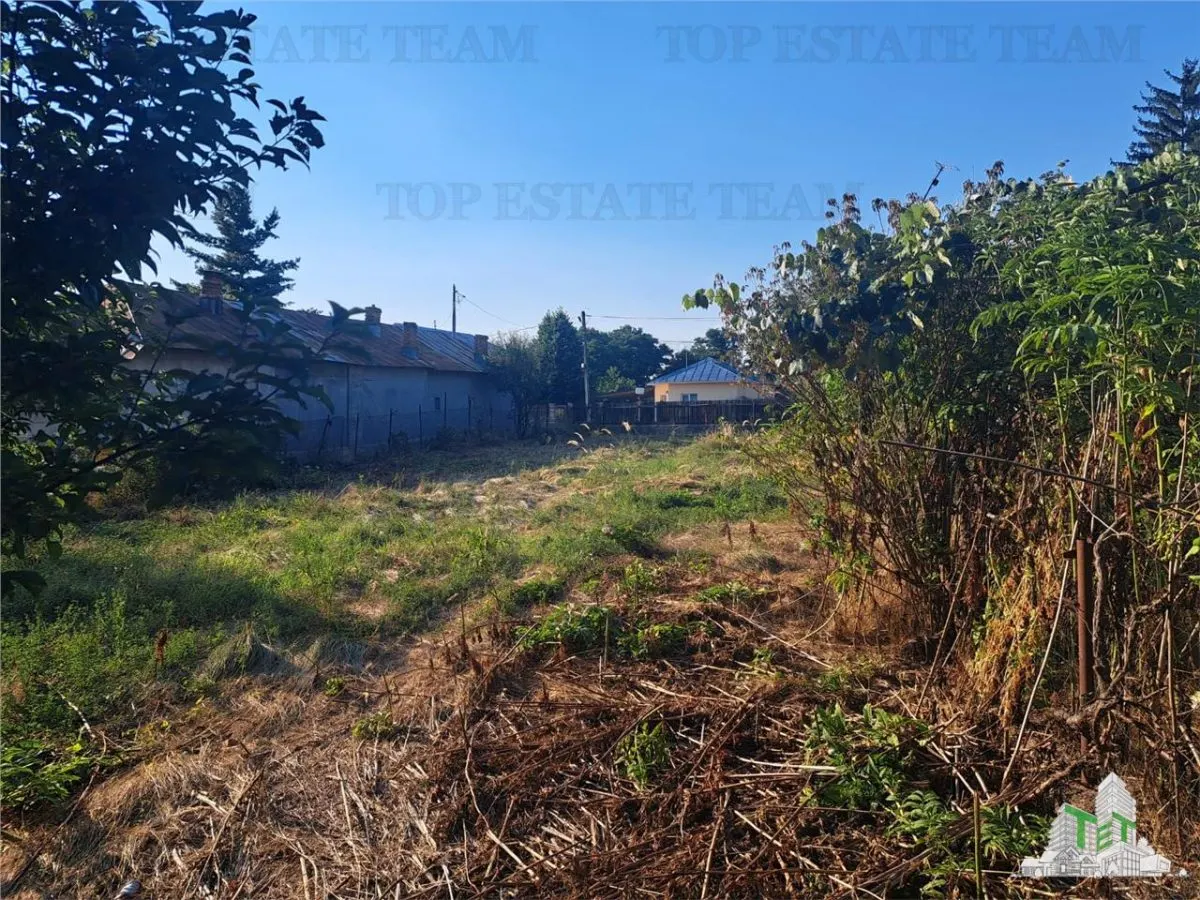 Casa cu teren 3579mp in com. Cascioarele, Jud. Giurgiu - foto 4