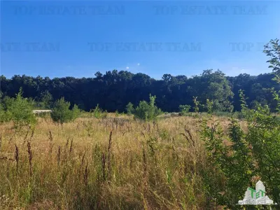 Casa cu teren 3579mp in com. Cascioarele, Jud. Giurgiu - foto 5