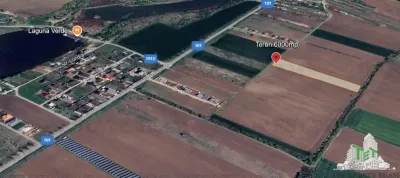 Teren pentru case 6000mp Moara Vlasiei - foto 1