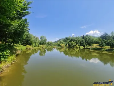 FILM! Oaza paradisiaca cu lac, vedere catre Bucegi, Glajerie/ Rasnov, pretabil Casute/Pensiune - foto 13