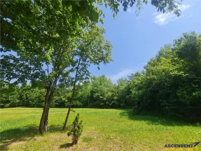 FILM! Oaza paradisiaca cu lac, vedere catre Bucegi, Glajerie/ Rasnov, pretabil Casute/Pensiune - foto 4