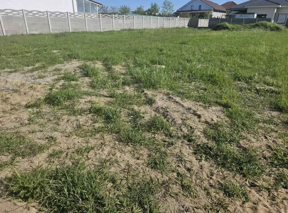 Teren-MOSNITA VECHE- 2 FRONTURI STRADALE -TOATE UTILITATILE - foto 3