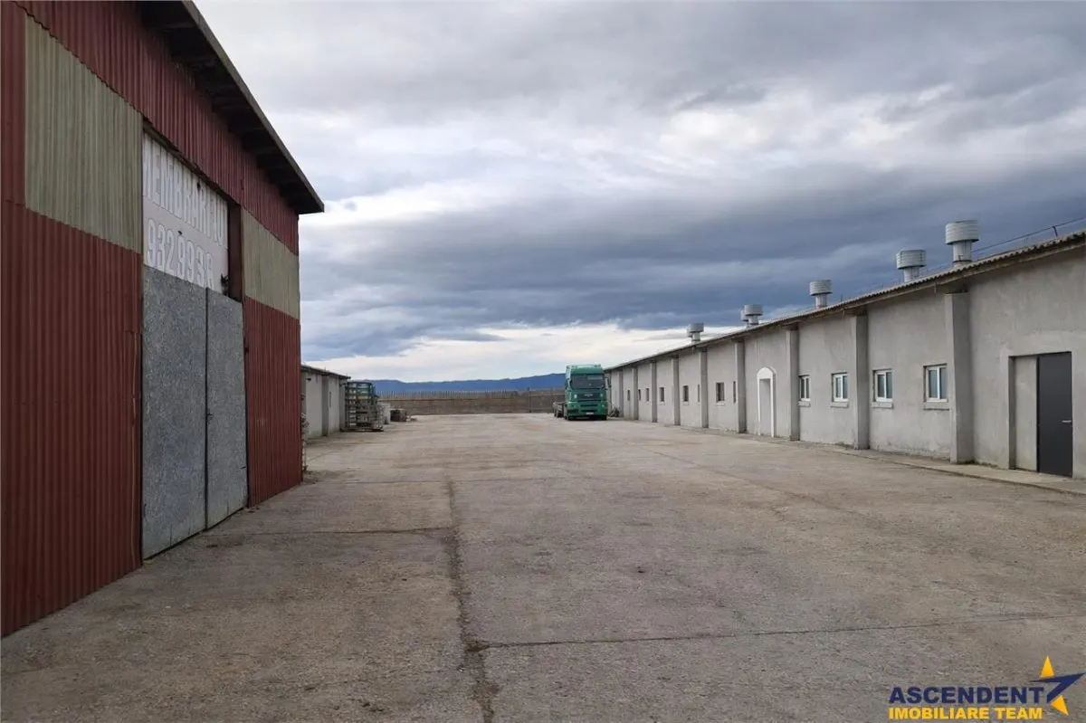 Hala industriala versatila,spatii cazare, platforma betonata,2.300 mp,Halchiu - foto 1